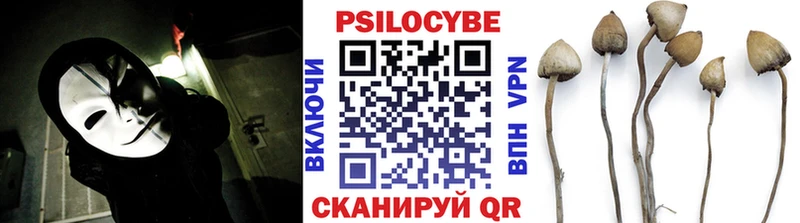 Псилоцибиновые грибы Psilocybe  Берёзовский 