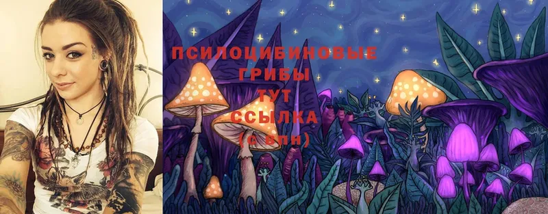 Галлюциногенные грибы Magic Shrooms Берёзовский